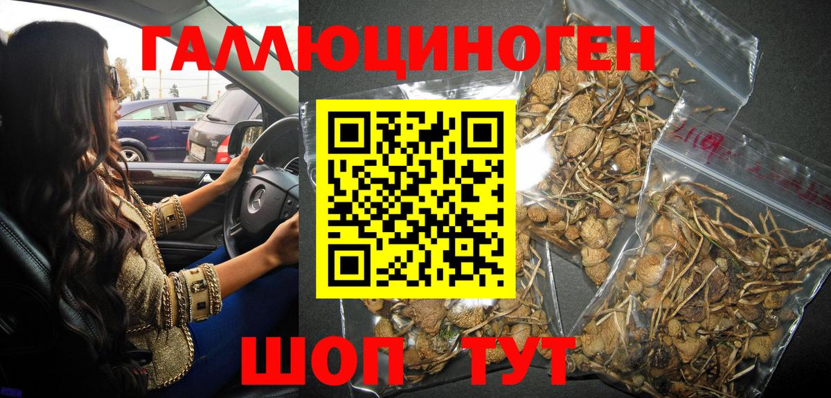 Туймазы  Галлюциногенные грибы мухоморы  Вход с VPN 